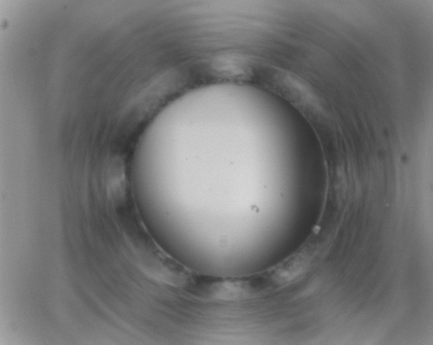 X0000065240320200602242031