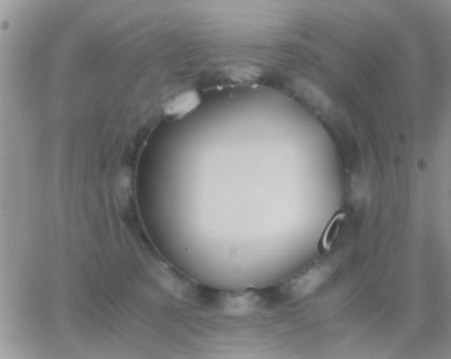 X0000065240321200602242031