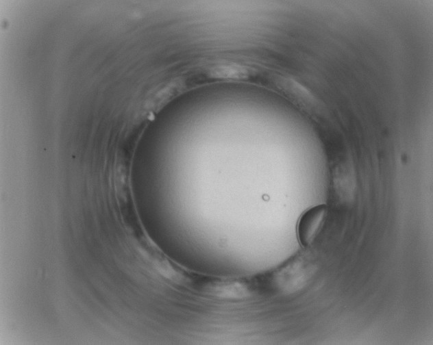 X0000065240322200602242031