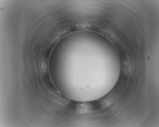 X0000065240324200602242031