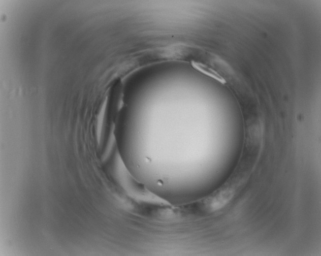 X0000065240325200602242031