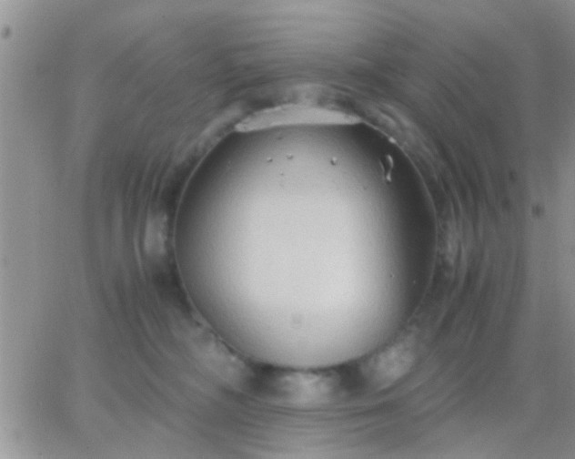 X0000065240326200602242031