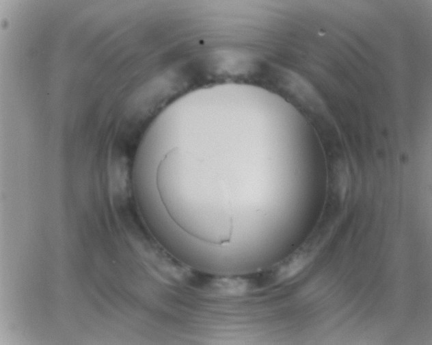 X0000065240328200602242031