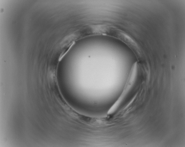 X0000065240329200602242031