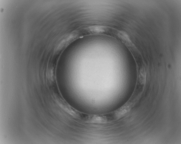 X0000065240330200602242031