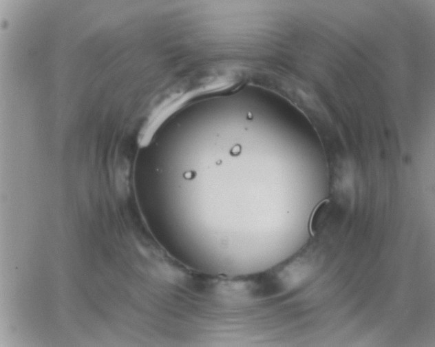 X0000065240332200602242031