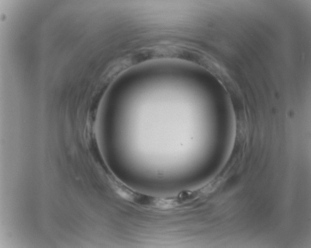 X0000065240333200602242031