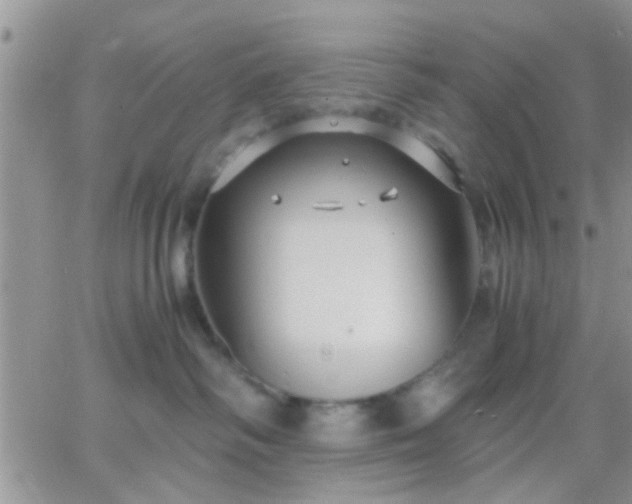 X0000065240334200602242031