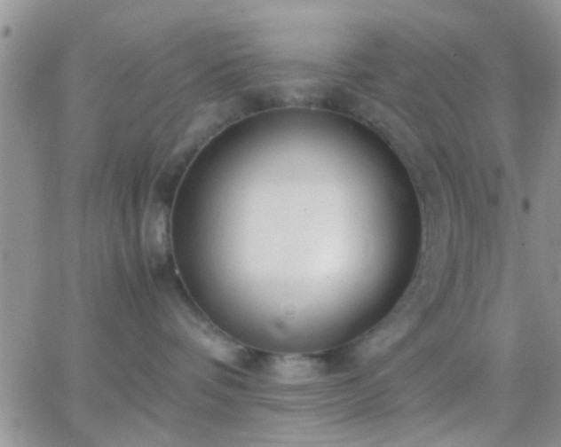 X0000065240336200602242031