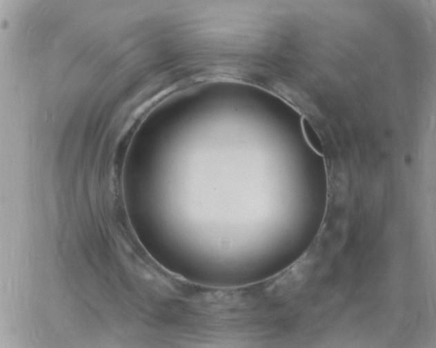 X0000065240338200602242030