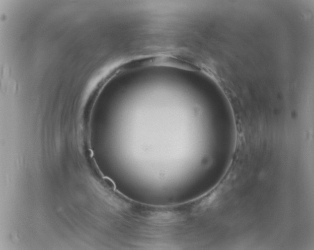 X0000065240342200602242030