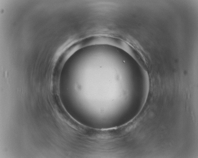 X0000065240344200602242030