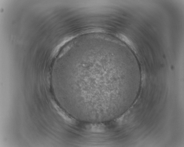 X0000065240345200602242030