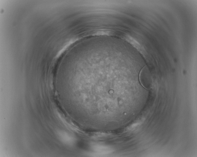 X0000065240347200602242030