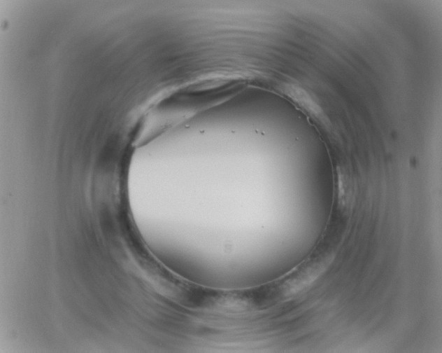 X0000065240348200602242030