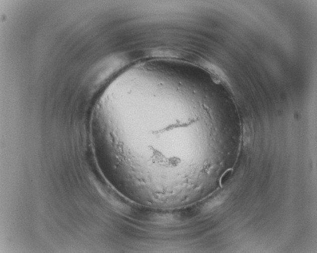 X0000065240349200602242030