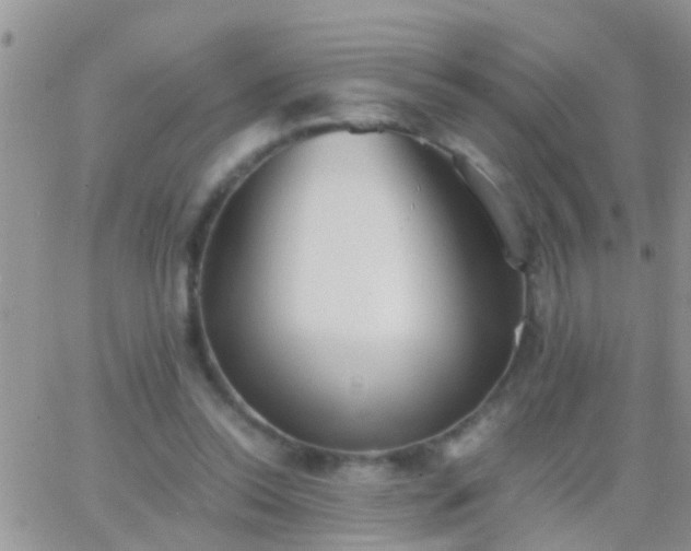 X0000065240350200602242030