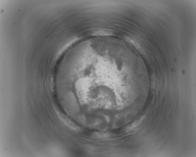 X0000065240351200602242030