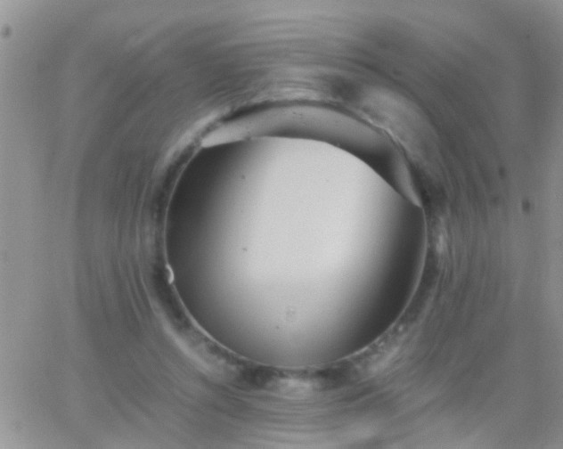 X0000065240352200602242030