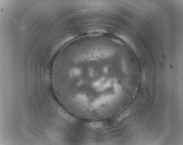 X0000065240353200602242030