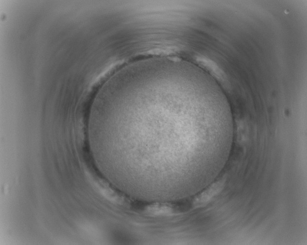 X0000065240354200602242030