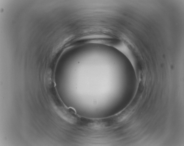 X0000065240356200602242030