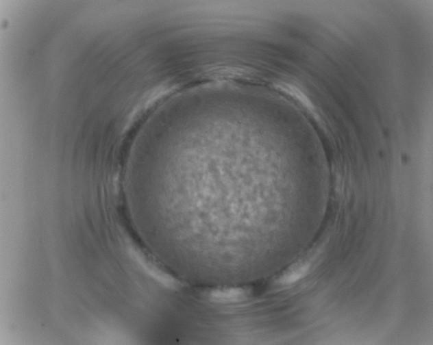 X0000065240357200602242030