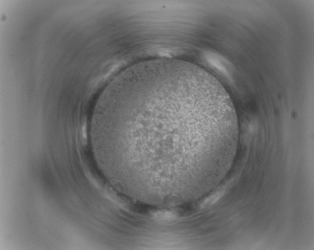 X0000065240358200602242030