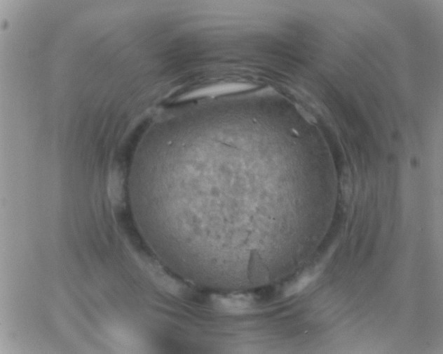 X0000065240359200602242030