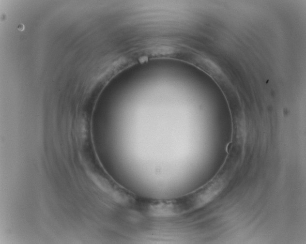 X0000065240362200602242030