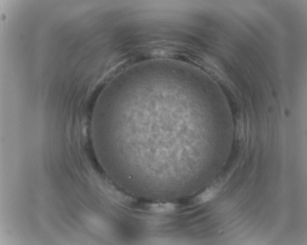 X0000065240363200602242030