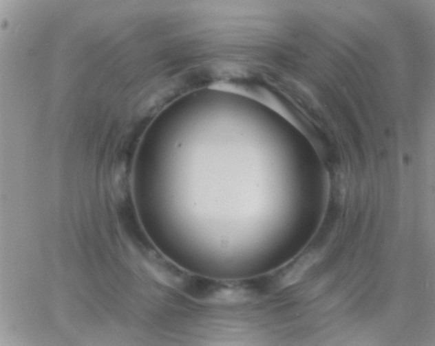 X0000065240364200602242030