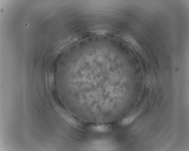 X0000065240365200602242030