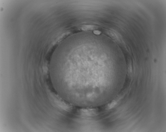 X0000065240367200602242030