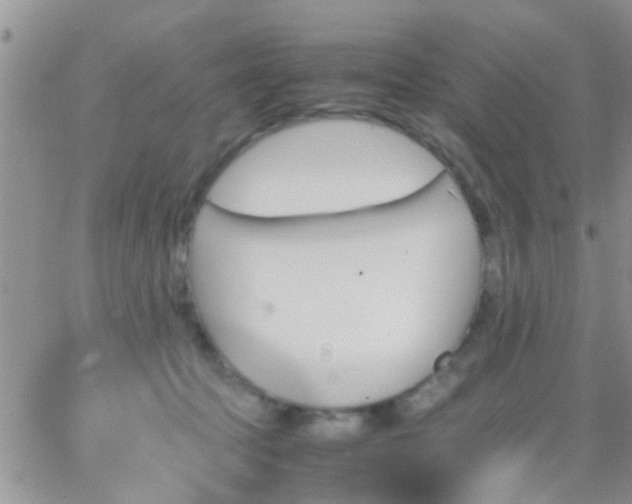 X0000065240369200602242030