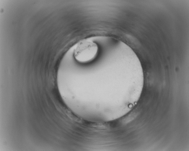 X0000065240370200602242030