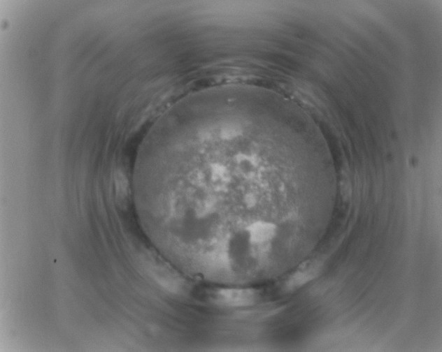 X0000065240371200602242030