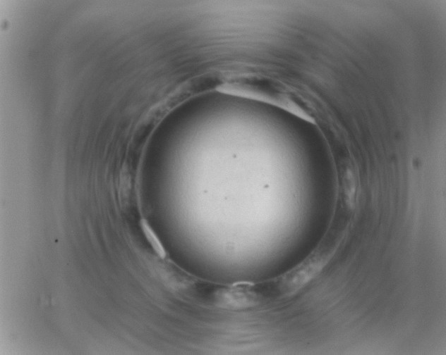 X0000065240372200602242030