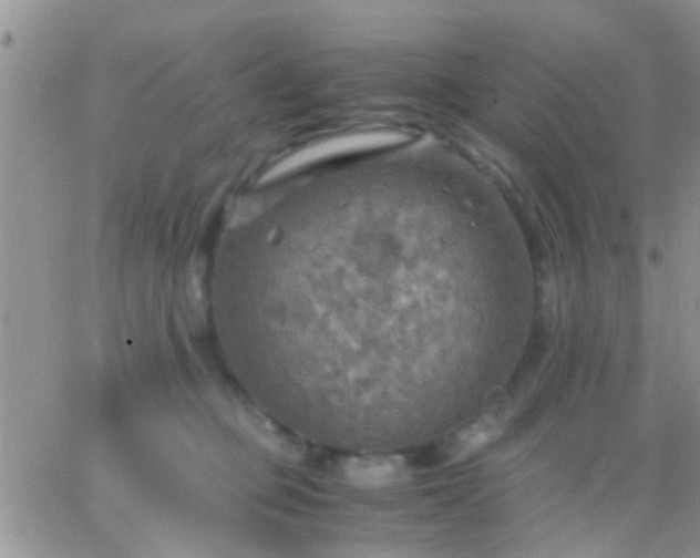 X0000065240373200602242030