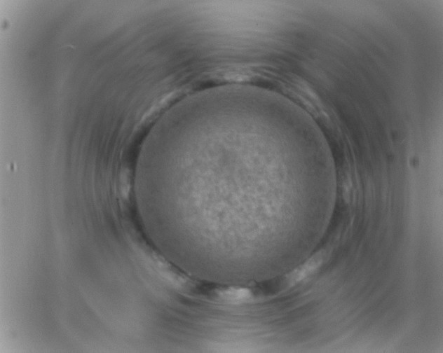 X0000065240374200602242031