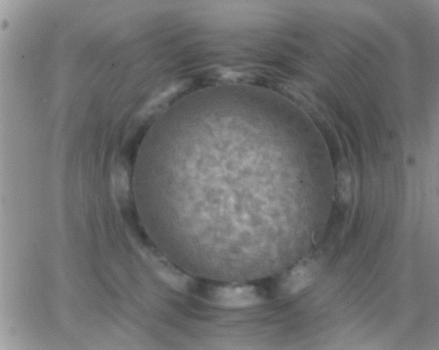 X0000065240375200602242031