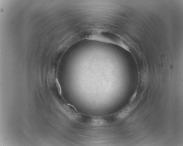 X0000065240376200602242031