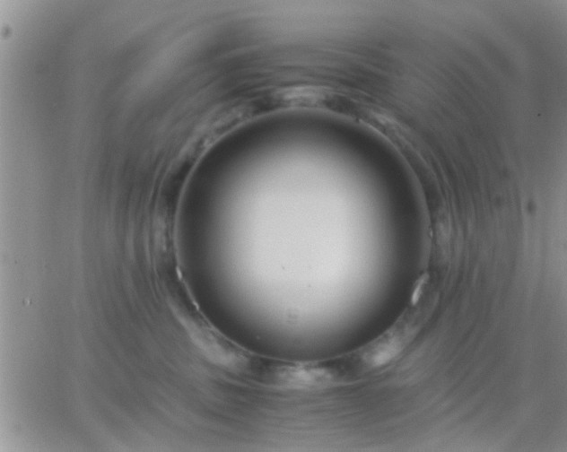 X0000065240379200602242031