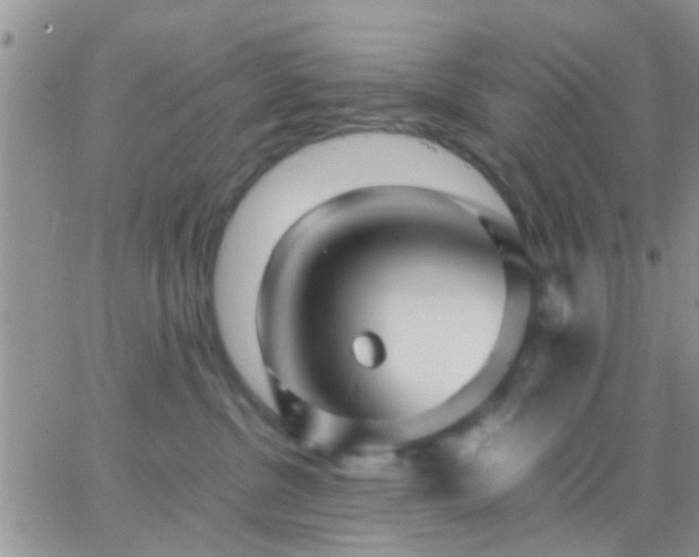 X0000065240380200602242031