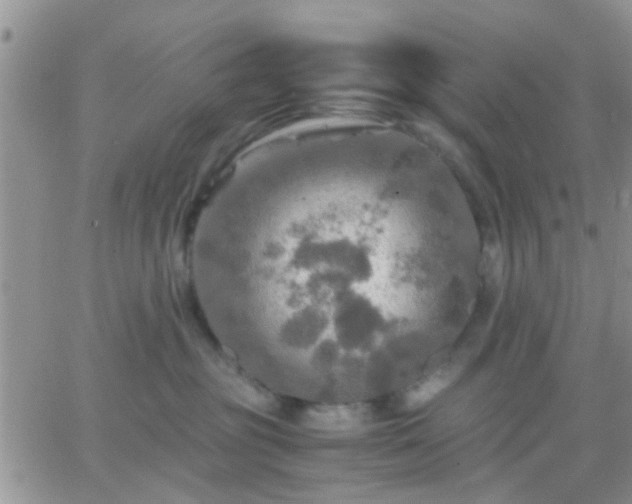 X0000065240381200602242031