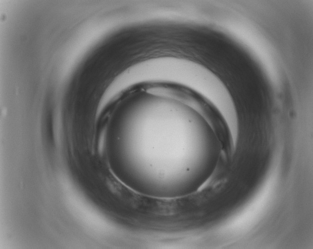 X0000065240382200602242031