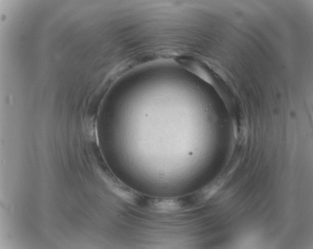 X0000065240383200602242031