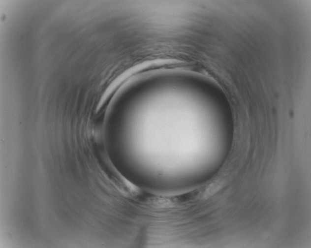 X0000065240384200602242031