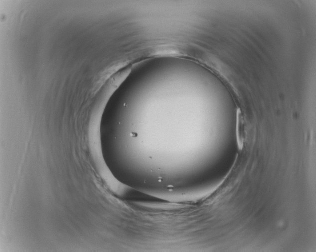 X0000065240385200602242030