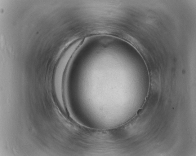 X0000065240386200602242030